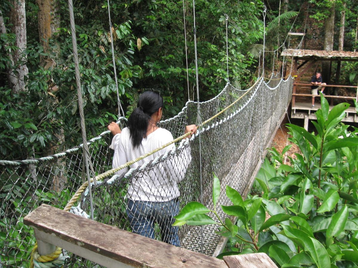 Iwokrama River Lodge Makari 外观 照片