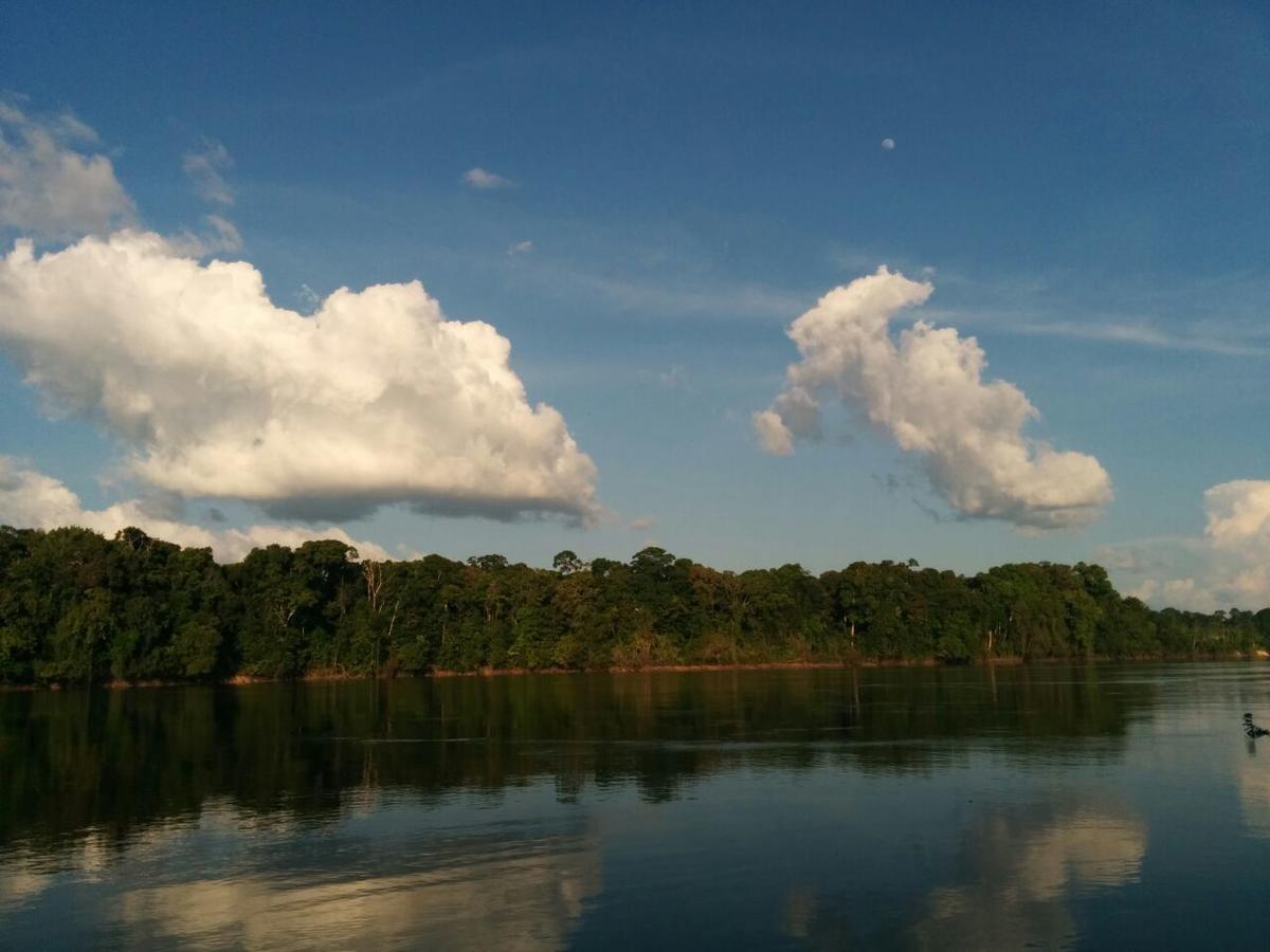 Iwokrama River Lodge Makari 外观 照片